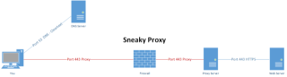 Sneaky Proxy DNS.png